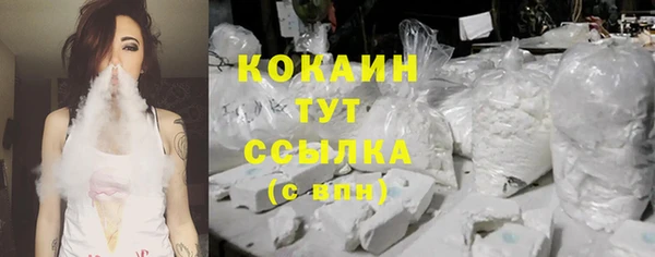 ешки Семилуки