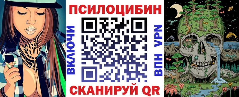 OMG вход  Советская Гавань  площадка как зайти  Галлюциногенные грибы GOLDEN TEACHER 